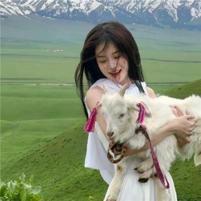 六扇门之御前盗圣 海报